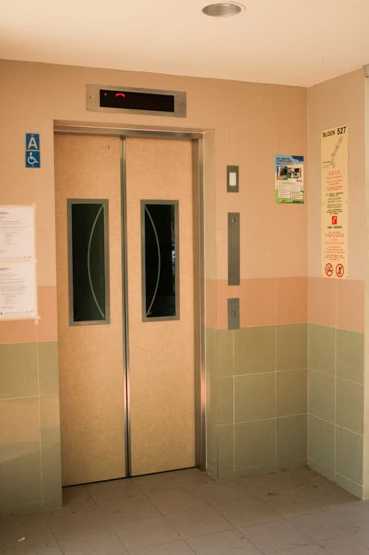 527 Jurong West Street 52