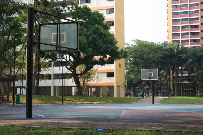 527 Jurong West Street 52