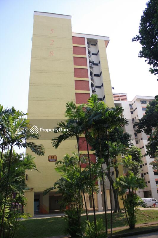 528 Jurong West Street 52 #0
