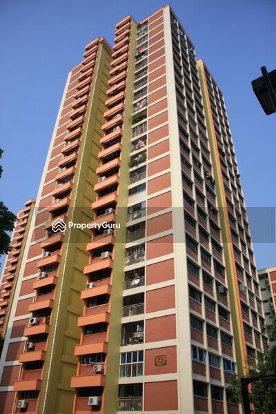 For Sale - 529 Jurong West Street 52