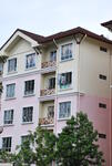 Palma Perak #0