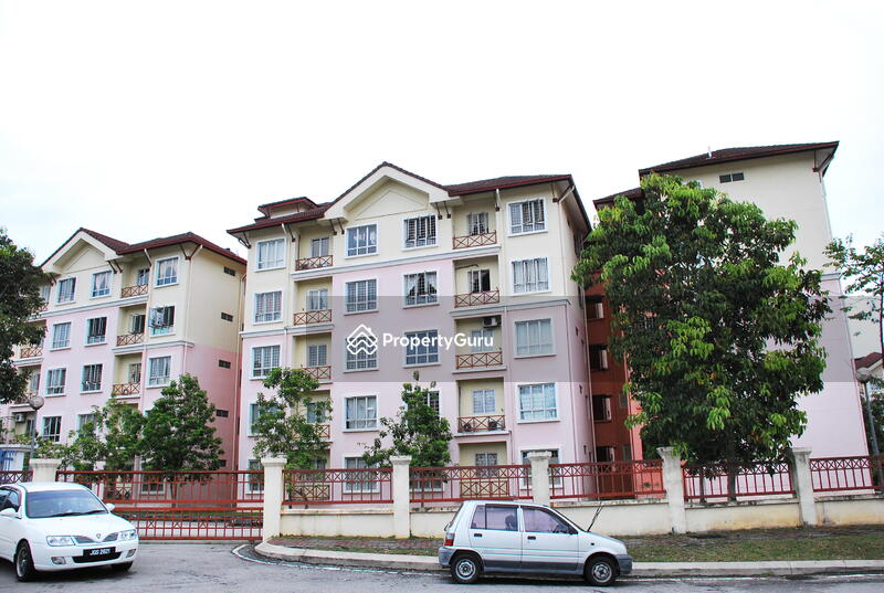 Palma Perak #0