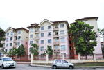 Palma Perak #0