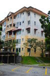 Palma Perak #0