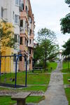 Palma Perak #0