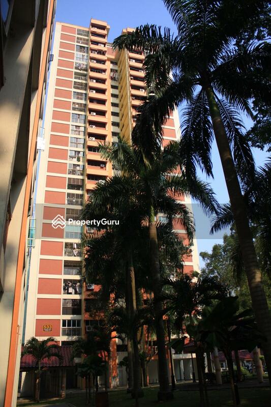 533 Jurong West Street 52 #0