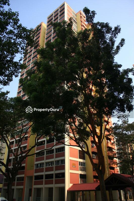 533 Jurong West Street 52 #0