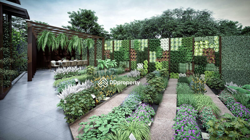 For Sale - Mulberry Grove Sukhumvit, Bangkok