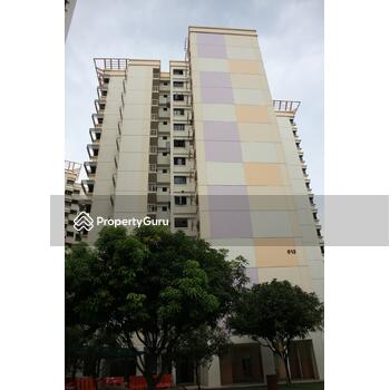 613 Jurong West Street 62
