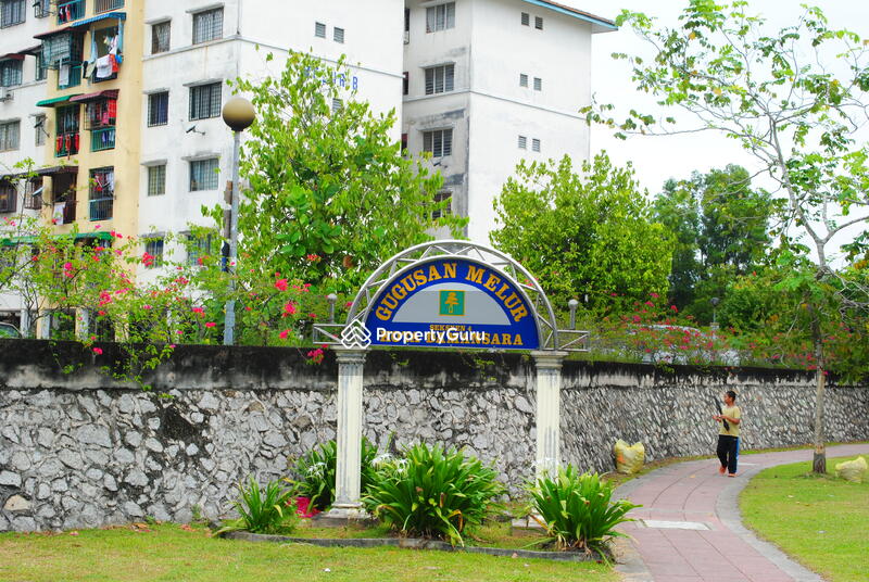Logo View