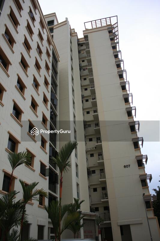 607 Jurong West Street 65 #0