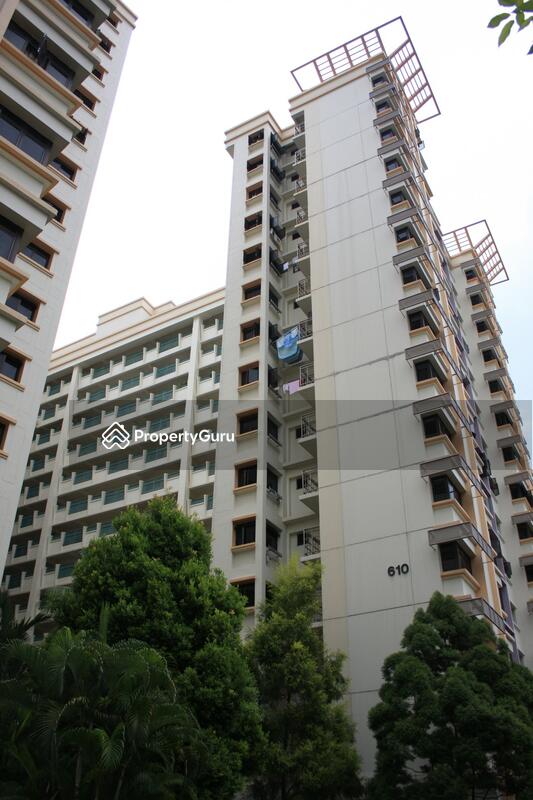 610 Jurong West Street 65 #0