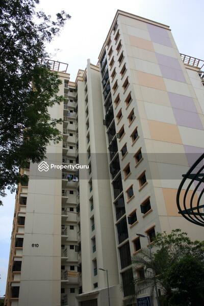 For Rent - 610 Jurong West Street 65