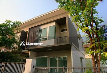 Indy Srinakarin : อินดี้ ศรีนครินทร์
