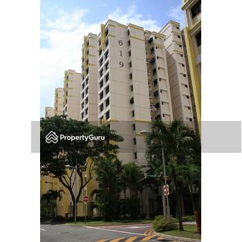 619 Jurong West Street 65