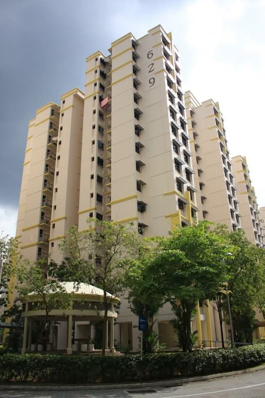 629 Jurong West Street 65