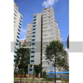 658B Jurong West Street 65