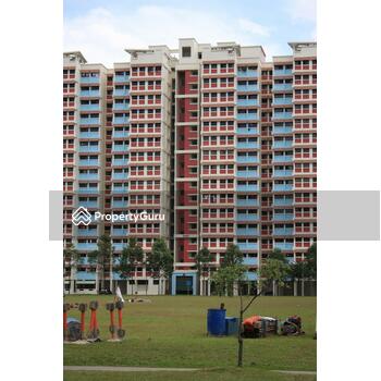 658C Jurong West Street 65