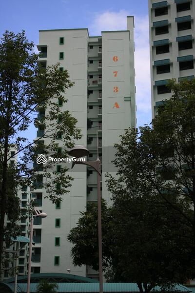 For Sale - 673A Jurong West Street 65