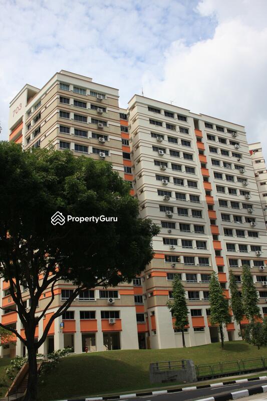 703 Jurong West Street 71 #0