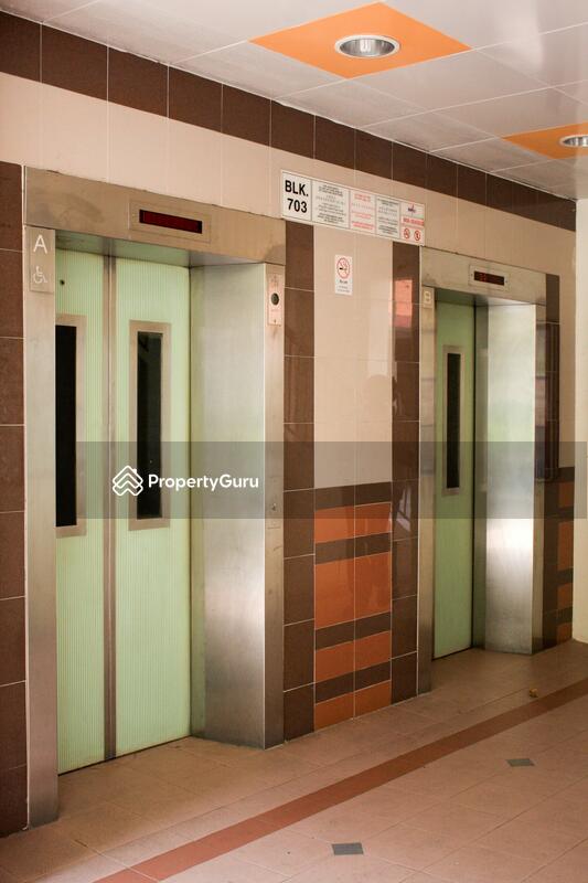 703 Jurong West Street 71 #0