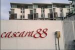 Cascasa 88 #0