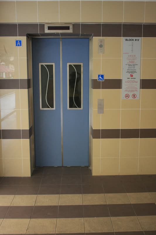 813 Jurong West Street 81