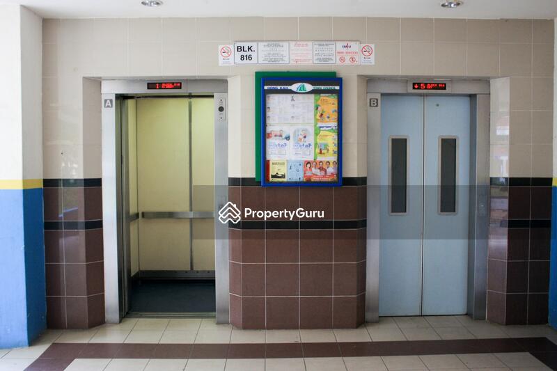 For Rent - 816 Jurong West Street 81