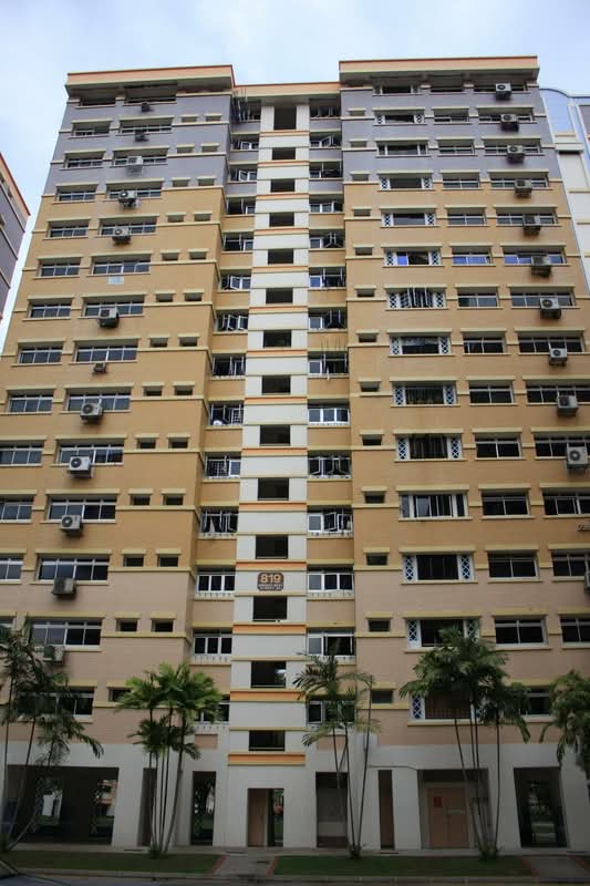819 Jurong West Street 81