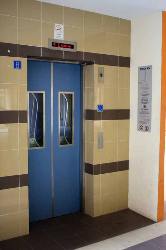 824 Jurong West Street 81