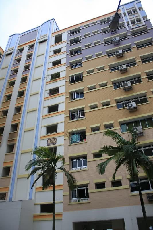 828 Jurong West Street 81