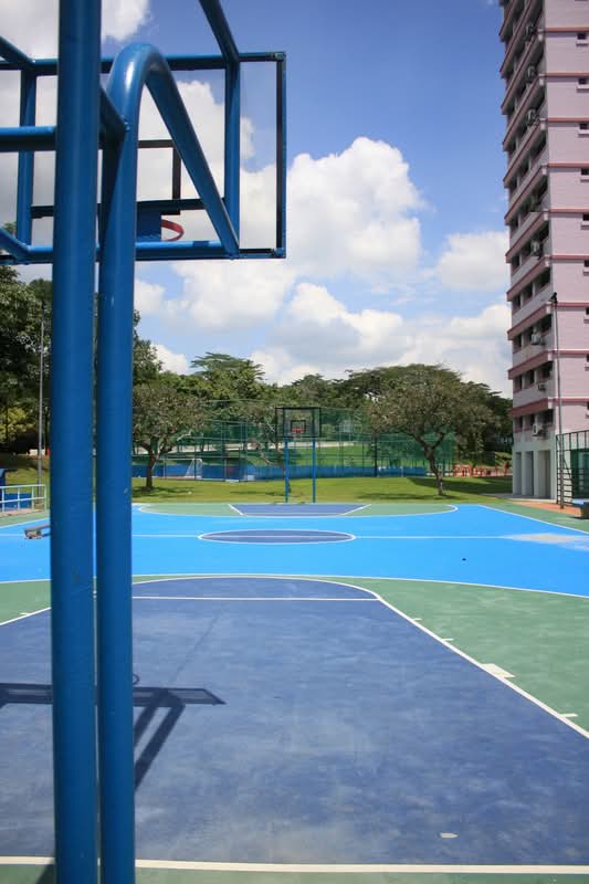 846 Jurong West Street 81