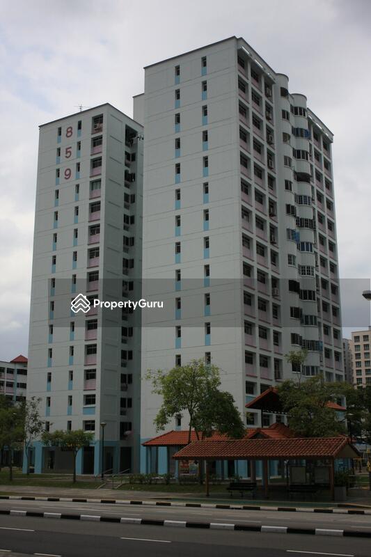 859 Jurong West Street 81 #0