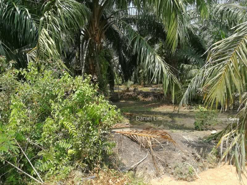 Kampung Bukit Kapar - iProperty.com.my