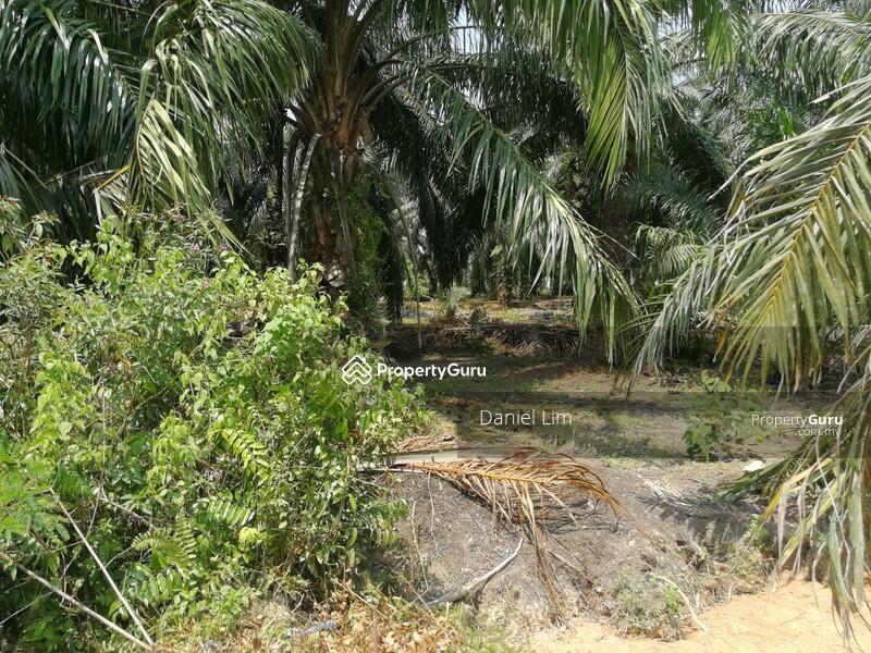 For Sale - Kampung Bukit Kapar
