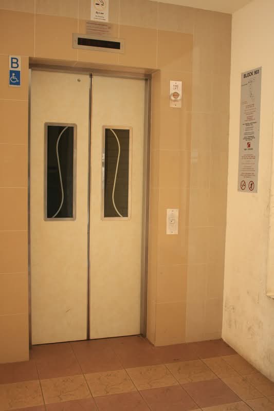 903 Jurong West Street 91