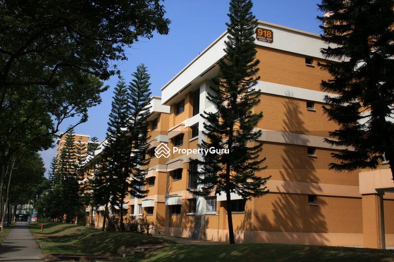 918 Jurong West Street 91 #0