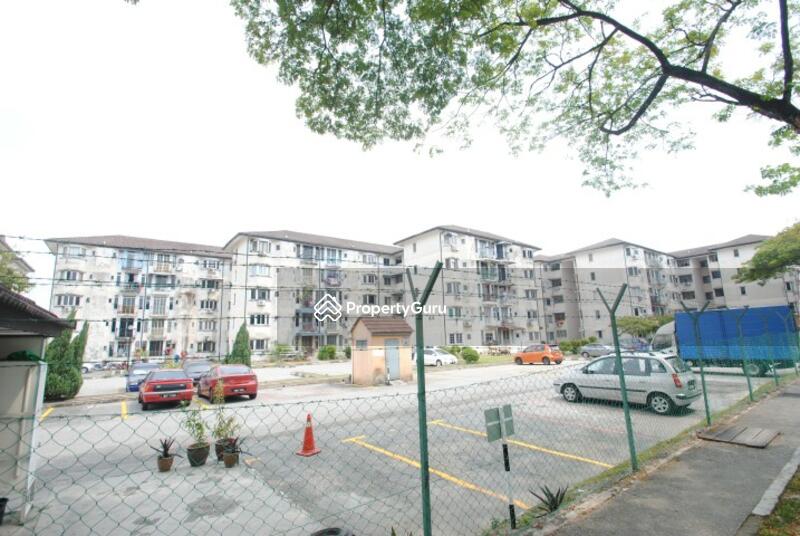 Pinang 1B Gallery 1E #0