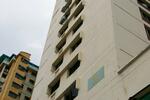 30 Kelantan Road #0