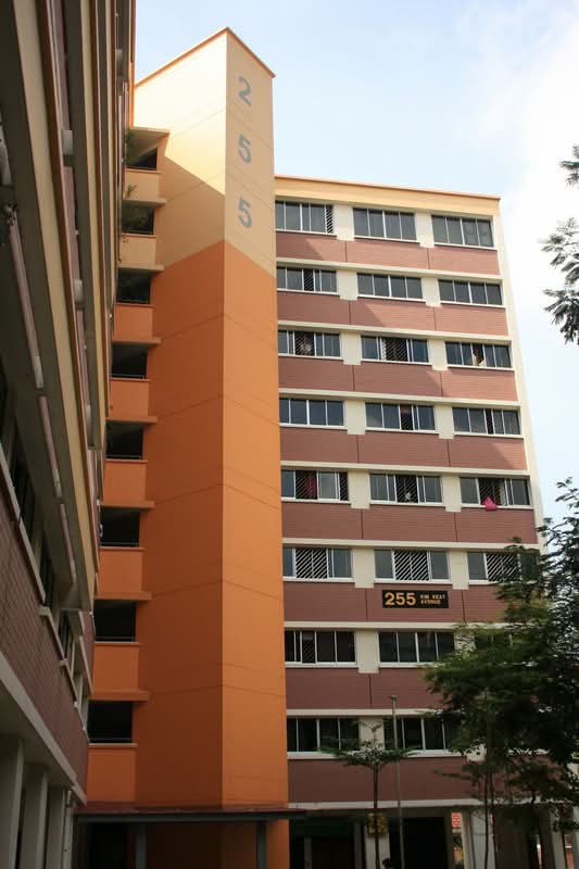 255 Kim Keat Avenue