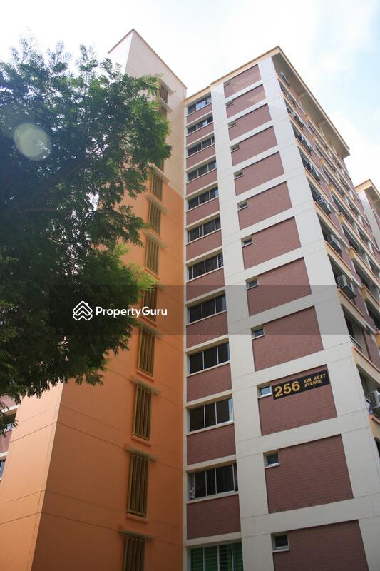 256 Kim Keat Avenue #0
