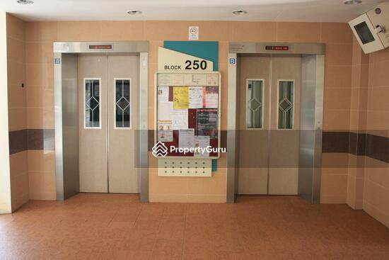 For Rent - 250 Kim Keat Link