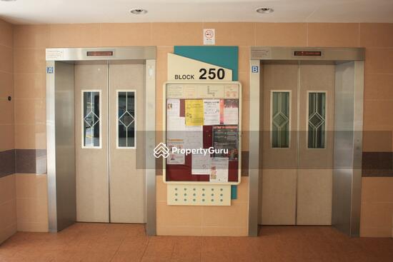 For Rent - 250 Kim Keat Link
