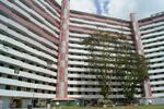 55 Lengkok Bahru #0