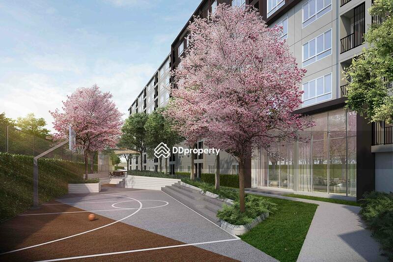 For Sale - Dcondo Campus Kamphaeng Sean, Nakhon Pathom