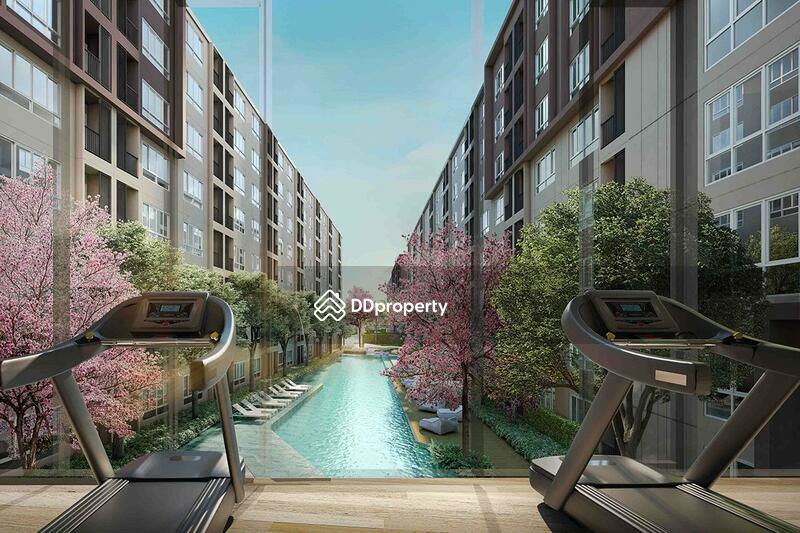 For Sale - Dcondo Campus Kamphaeng Sean, Nakhon Pathom