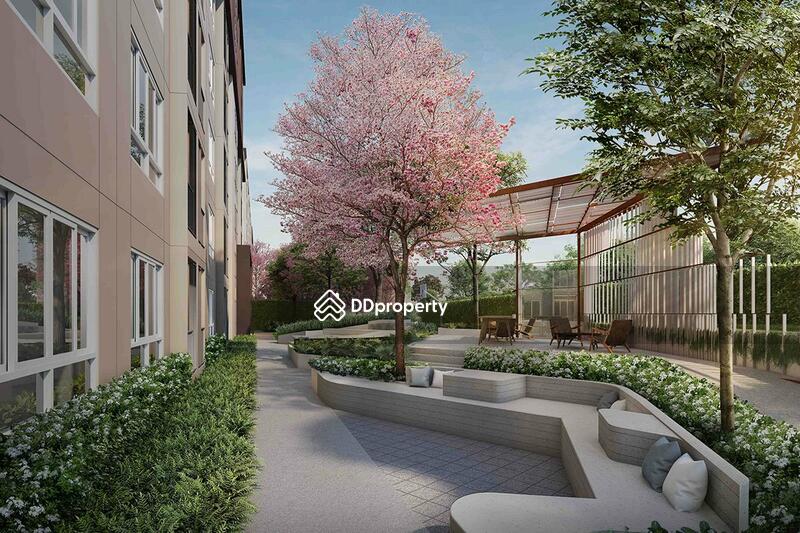 For Sale - Dcondo Campus Kamphaeng Sean, Nakhon Pathom