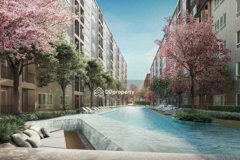For Sale - Dcondo Campus Kamphaeng Sean, Nakhon Pathom