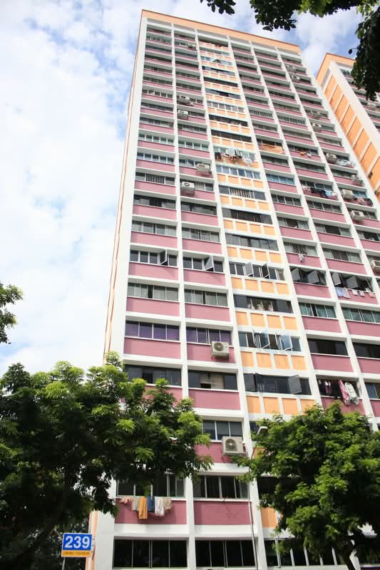 239 Lorong 1 Toa Payoh
