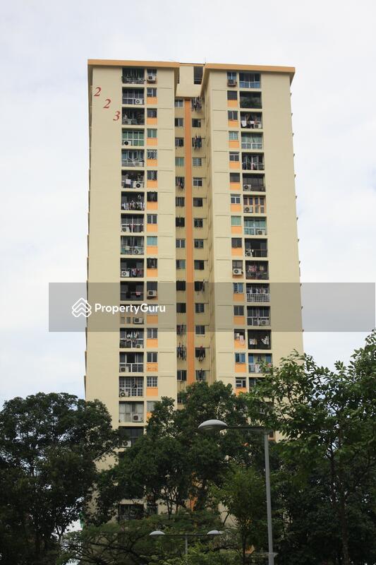 223 Lorong 8 Toa Payoh #0